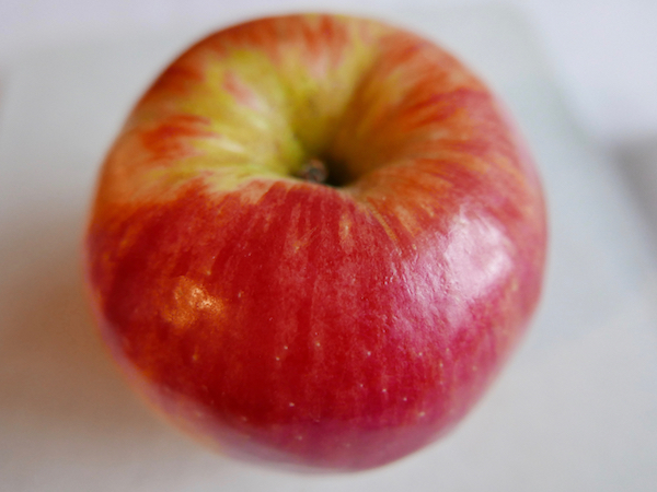 Honeycrisp apple