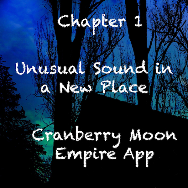 Progress on the Cranberry Moon Empire App
