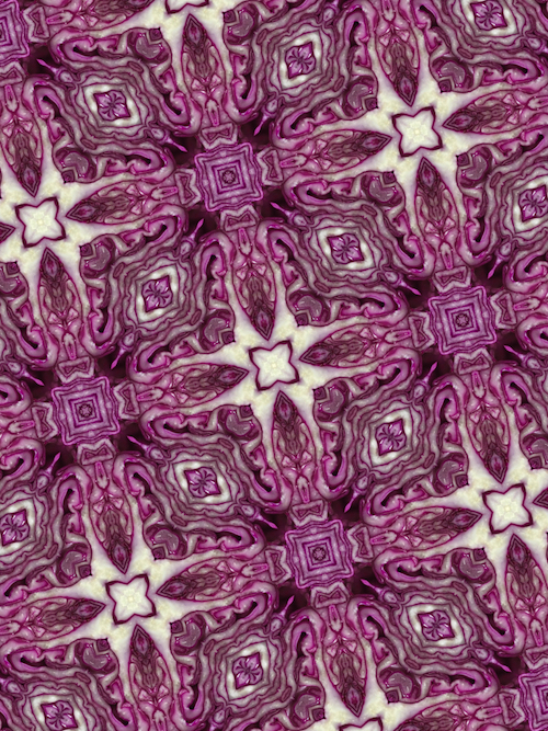 Purple cabbage abstract