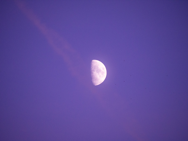 Moon dancing with the clouds