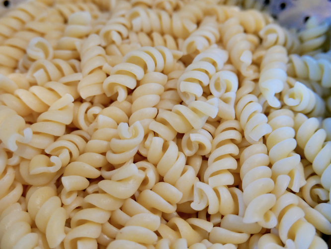cooked rotini noodles