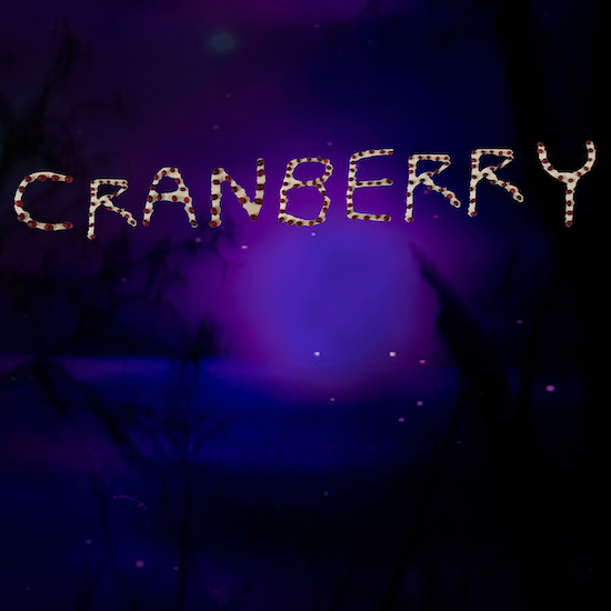 Artistic image of cranberries